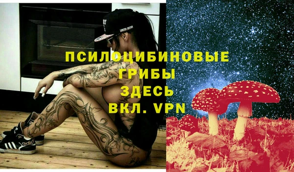 прущие грибы Алексин
