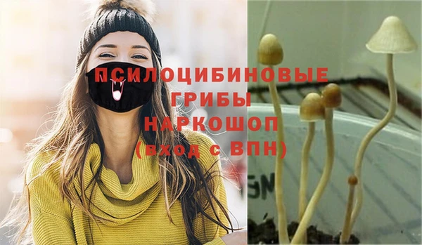 стафф Алексеевка