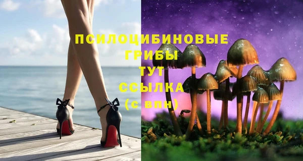 прущие грибы Алексин